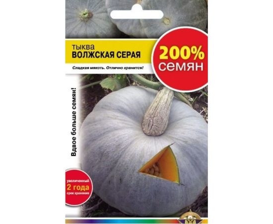 Семена РУССКИЙ ОГОРОД Тыква Волжская серая 92 200% NEW 4 г 414208 