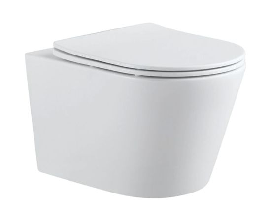 Подвесной унитаз Aquanet Atago 2.0 W с сидением, с Rimless 00243549 