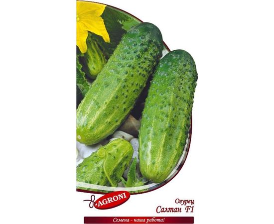 Семена Агрони Огурец САЛТАН F1 4742 