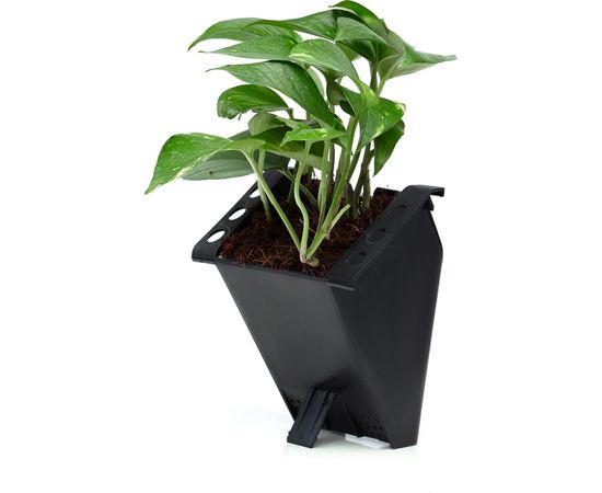 Автономная система озеленения Green Helper GWA-20Wi-Fi – изображение 19