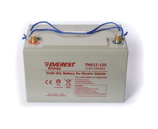 EVEREST Energy Тяговые аккумуляторные батареи TNE 12-125 – изображение 3