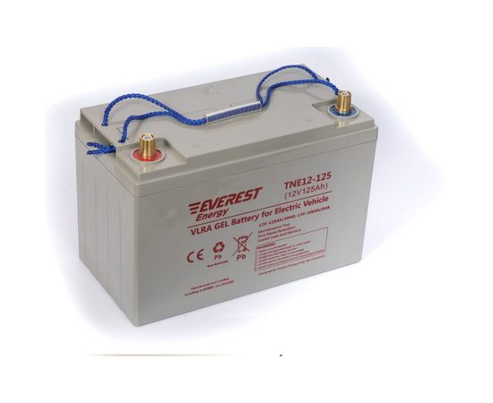 EVEREST Energy Тяговые аккумуляторные батареи TNE 12-125 – изображение 4