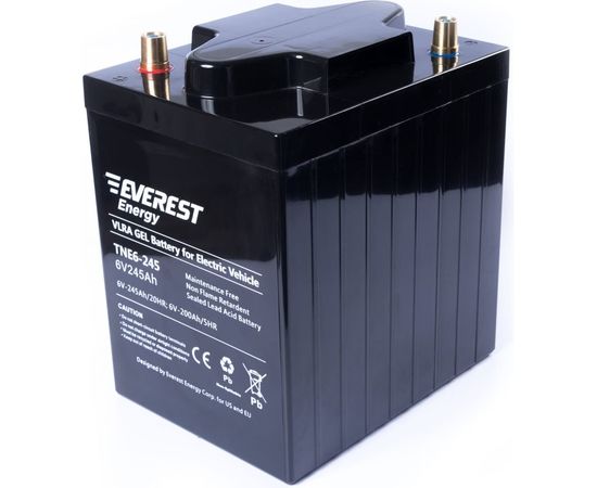 Тяговая аккумуляторная батарея EVEREST Energy TNE 6-245 – изображение 2