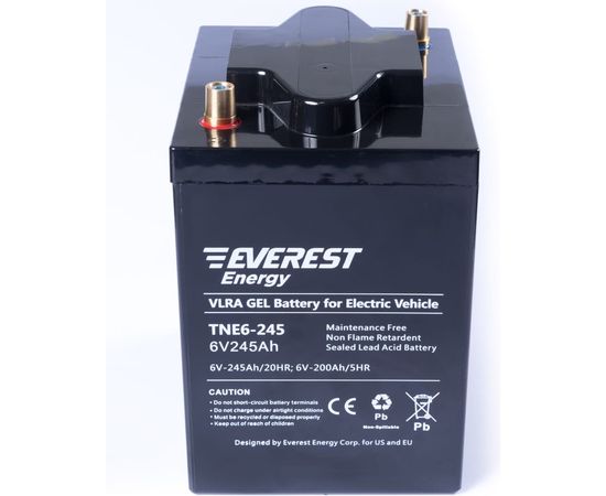Тяговая аккумуляторная батарея EVEREST Energy TNE 6-245 – изображение 3