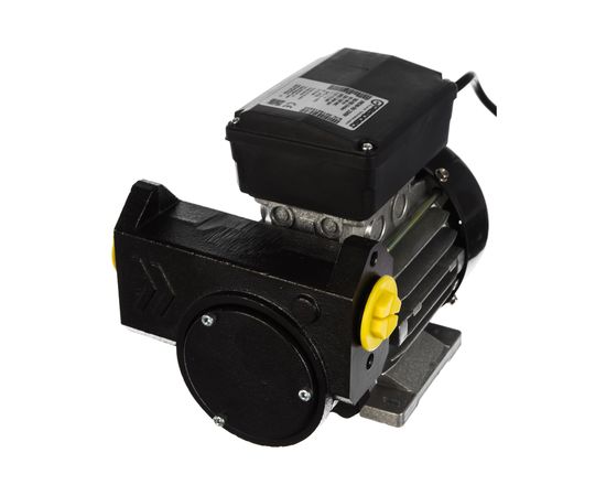 Самовсасывающий роторный лопастной электронасос для ДТ Gespasa IRON-50 230V AC 00190 – изображение 2