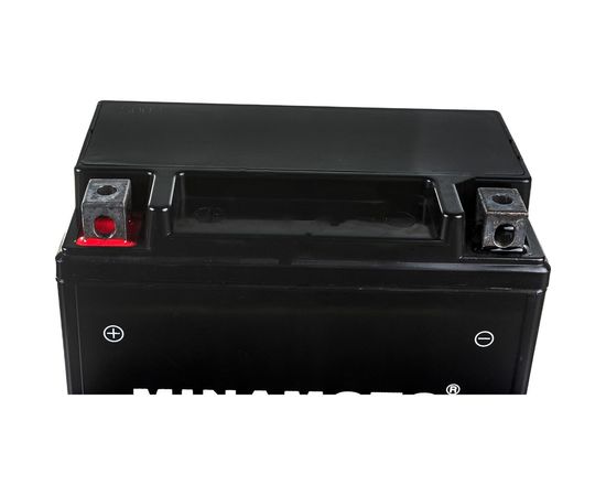 Мотоаккумулятор MINAMOTO YTX14-BS 7502 – изображение 3