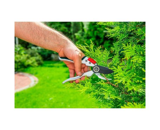 Секатор (садовый, универсальный) VERTO 15G206 – изображение 2