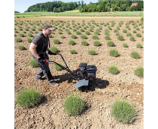 Бензиновый мотокультиватор AL-KO Comfort MH 540 113970 – изображение 5