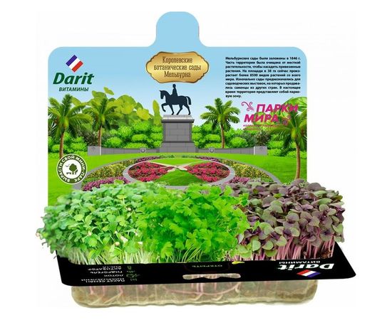 Набор для выращивания DARIT Микрозелень сельдерей/базилик/кориандр 3 г 122443 – изображение 2