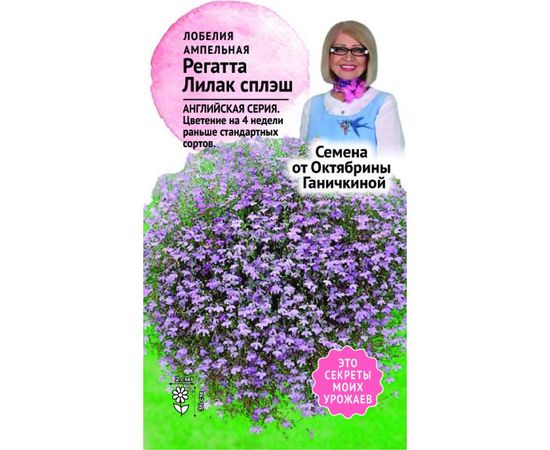 Семена ОКТЯБРИНА ГАНИЧКИНА Лобелия Регатта Лилак сплеш 10 шт. 120112 
