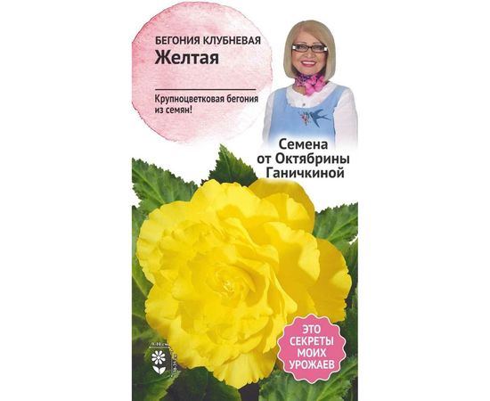 Семена ОКТЯБРИНА ГАНИЧКИНА Бегония клубневая Желтая 6 шт. 118853 