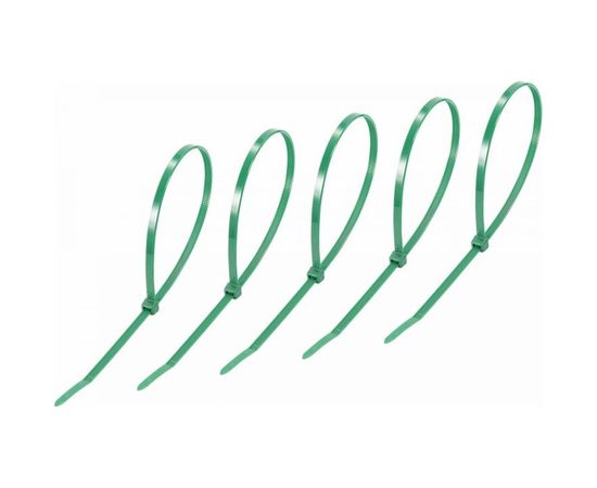Хомут REXANT nylon 300x5.0 мм 25 шт зеленый 07-0303-25 