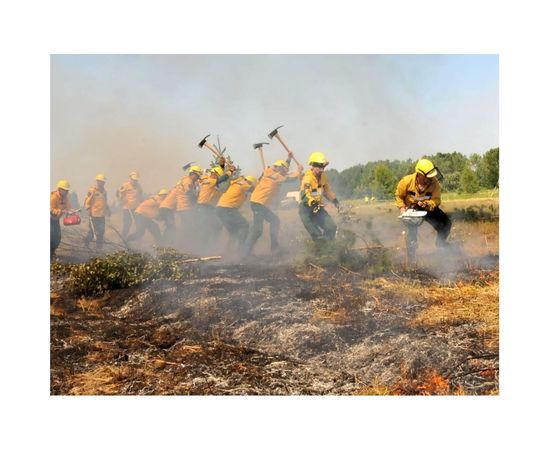 Топор-мотыга с деревянной ручкой Лесхозснаб 4631140678079 – изображение 2