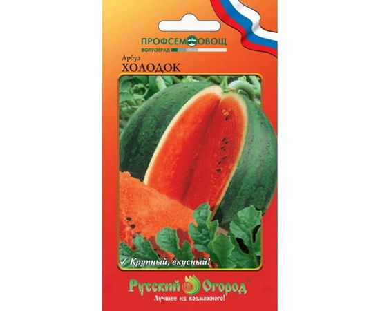 Семена РУССКИЙ ОГОРОД Арбуз Холодок О.Ю. 1 г 324418 