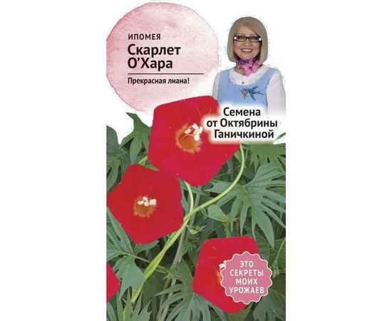 Семена ОКТЯБРИНА ГАНИЧКИНА Ипомея Скарлет о Хара 0.5 г 119333 