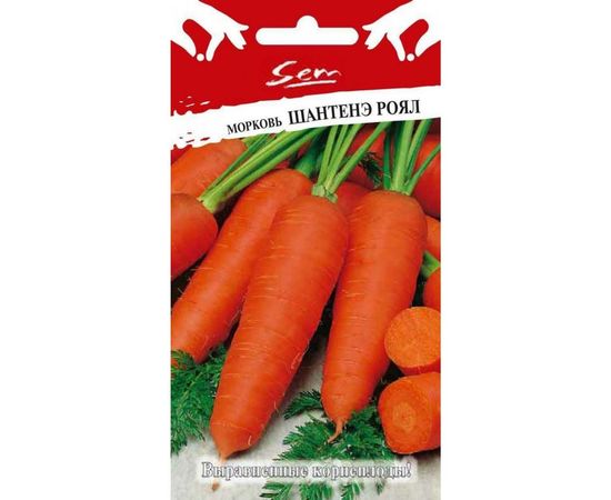 Семена РУССКИЙ ОГОРОД Морковь Шантенэ Роял 2 г 313030 
