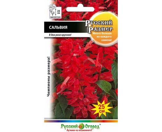 Семена РУССКИЙ ОГОРОД Цветы Сальвия Русский размер 20 шт. 773368 