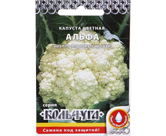 Семена РУССКИЙ ОГОРОД Капуста цветная Альфа Кольчуга 0.5 г Е01007 