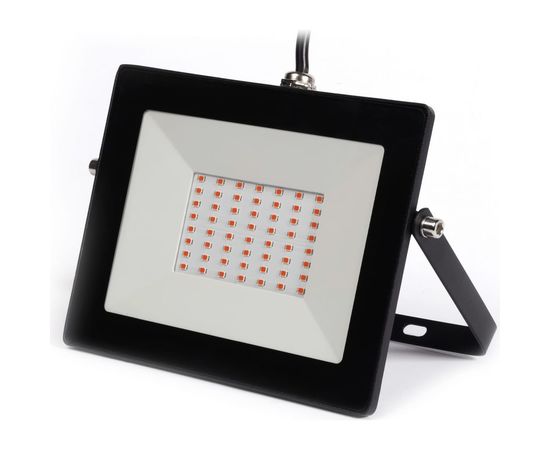 Прожектор Smartbuy FL ФИТО 50W/1300K/IP65 SBL-FLFITO-50-65K 