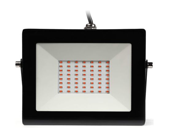 Прожектор Smartbuy FL ФИТО 50W/1300K/IP65 SBL-FLFITO-50-65K – изображение 2