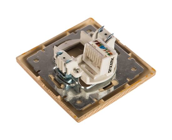 Информационная розетка Intro 130311 RJ45, IP20, СУ, Plano, сосна Б0030089 – изображение 2