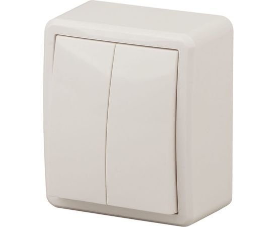 Двойной выключатель ЭРА 11-1204-02 10АХ-250В, IP20, ОУ, Эксперт, сл.кость Б0020664 