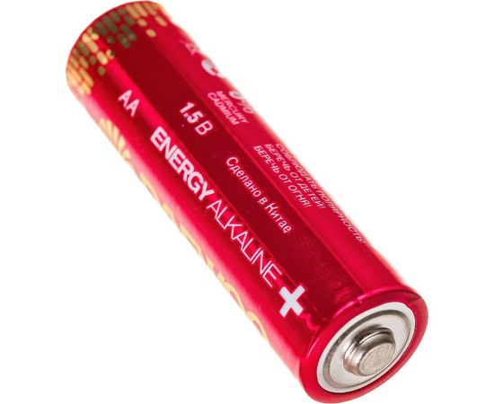 Алкалиновая батарейка DAEWOO LR 6 ENERGY Alkaline 2021 Pack-32 5030053 – изображение 3