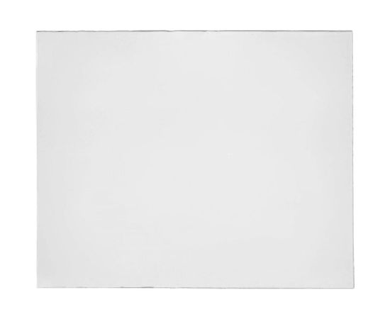 Пластина защитная поликарбонатная (50 шт; 110х90 мм) ПТК 00000022343 