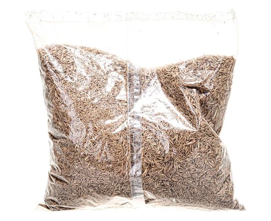 Семена газона Зеленый Ковер SCANDIC 0.9 кг 4607160332956 – изображение 3