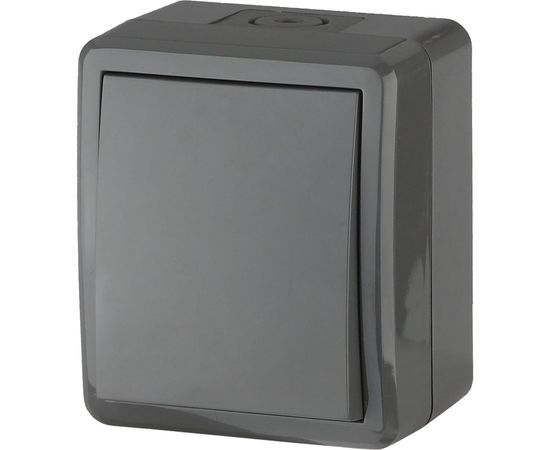 Выключатель ЭРА 11-1401-03 IP54, 10АХ-250В, ОУ, Эксперт, серый Б0020670 