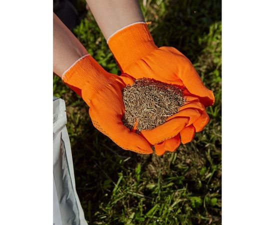 Газонная травосмесь Сила Суздаля Спортивная 1 кг GTS0010 – изображение 8