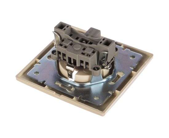 Розетка Lezard MIRA с заземлением, ПБТ, кремовый, со вставкой 701-0303-122B – изображение 2