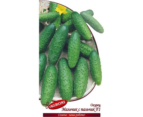 Семена Агрони Огурец МАЛЬЧИК С ПАЛЬЧИК F1 4728 