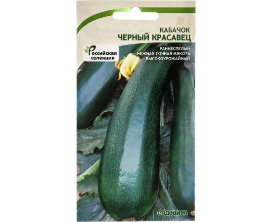 Семена САДОВИТА Кабачок Черный красавец 10 семечек 00140061 – изображение 4