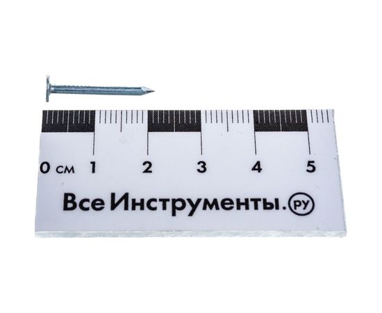 Строительный оцинкованный гвоздь 2.0х20, 300г - коробка Tech-Krep 124581 – изображение 3