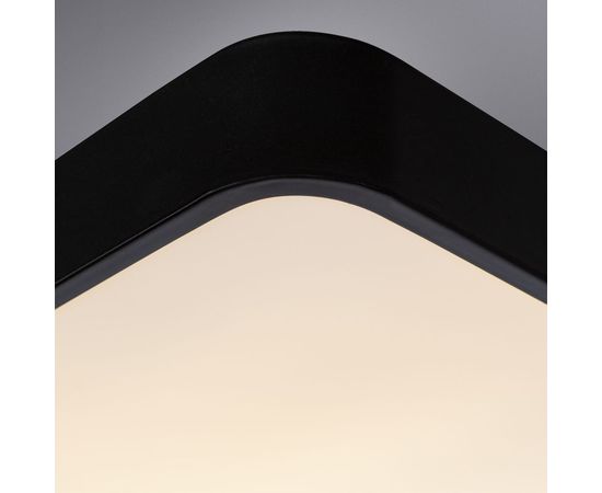 Потолочный светильник Arte Lamp SCENA A2663PL-1BK – изображение 6