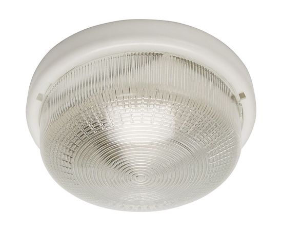 Накладной светильник FERON НБО 05-100-001 IP44, 220V, 100Вт, Е27 41403 