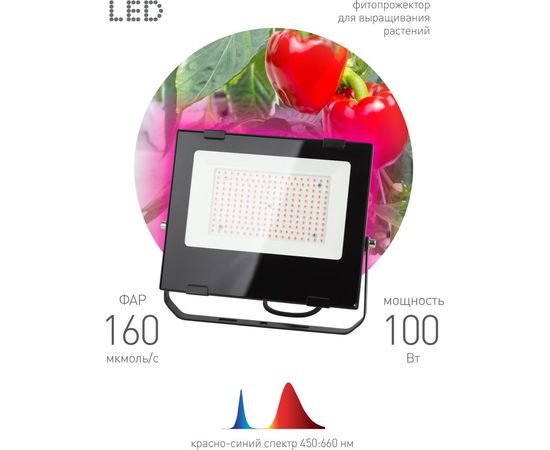 Светодиодный фитопрожектор для растений ЭРА FITO-100W-RB-LED красно-синего спектра, для цветения и плодоношения, 100 Вт Б0046369 – изображение 2