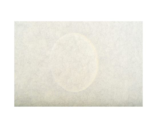 Пад для поломоечных машин 17" (категория В) OZONE PAD-B17WHITE – изображение 3