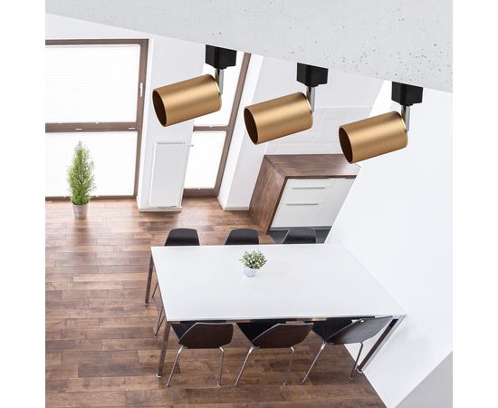 Трековый светильник ЭРА TR14GU10 SG GU10, 55*165мм, сатин, золото, 50/900 Б0044321 – изображение 4