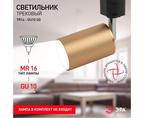 Трековый светильник ЭРА TR14GU10 SG GU10, 55*165мм, сатин, золото, 50/900 Б0044321 – изображение 5