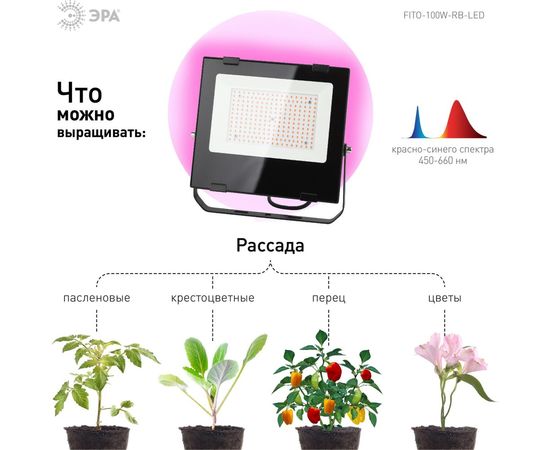 Светодиодный фитопрожектор для растений ЭРА FITO-100W-RB-LED красно-синего спектра, для цветения и плодоношения, 100 Вт Б0046369 – изображение 5