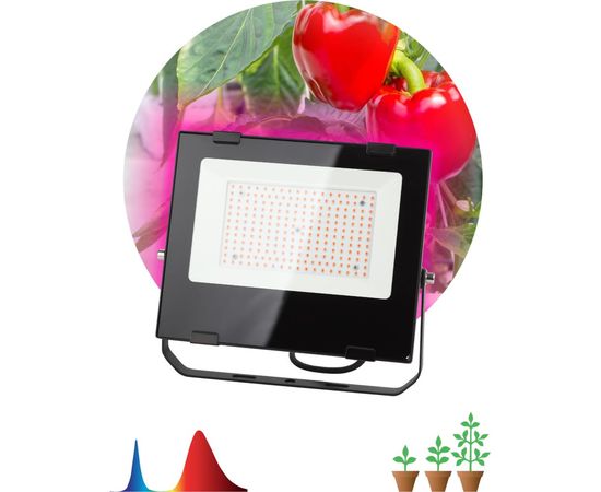 Светодиодный фитопрожектор для растений ЭРА FITO-100W-RB-LED красно-синего спектра, для цветения и плодоношения, 100 Вт Б0046369 – изображение 7