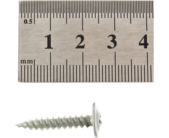 Саморезы с полусферической головкой и острием Профикреп цинк, 4,2х25 200 шт 2000906225 – изображение 4