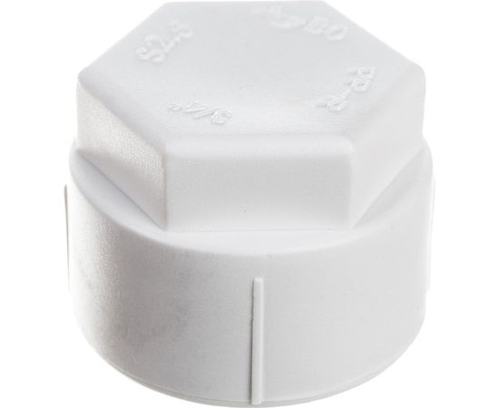 Заглушка Blue Ocean резьбовая вн - 3/4 1/50/300 PPRF/SCAPF(W) - 3/4" 