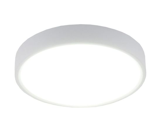 Светодиодный стационарный светильник Elektrostandard DLR034 24W 4200K a043016 