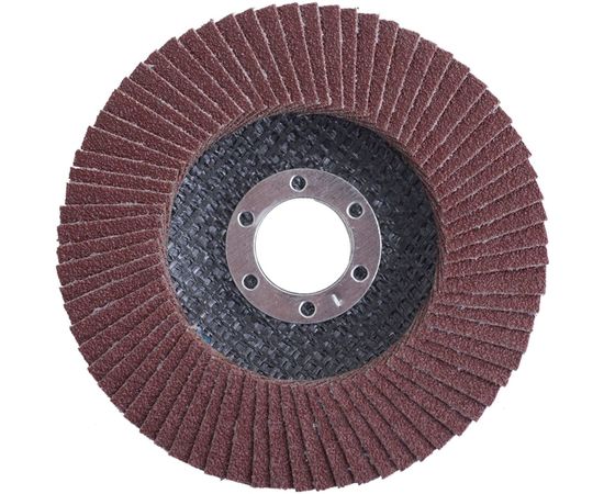 Круг лепестковый плоский (125х22.2 мм; Р80) Flexione 10000645 – изображение 2