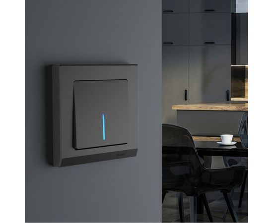 Одноклавишный проходной выключатель WERKEL W1112108 с подсветкой a051609 – изображение 2