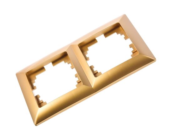 Рамка Intro 450204 на 2 поста, СУ, Solo, шампань Б0043413 – изображение 2