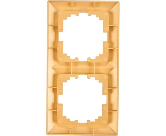 Рамка Intro 450204 на 2 поста, СУ, Solo, шампань Б0043413 – изображение 3